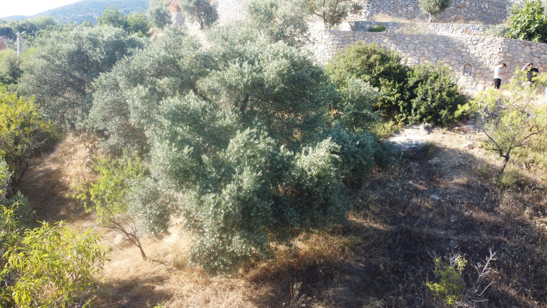 YERLEŞİM ALANI İÇİNDE FIRSAT ARAZİ