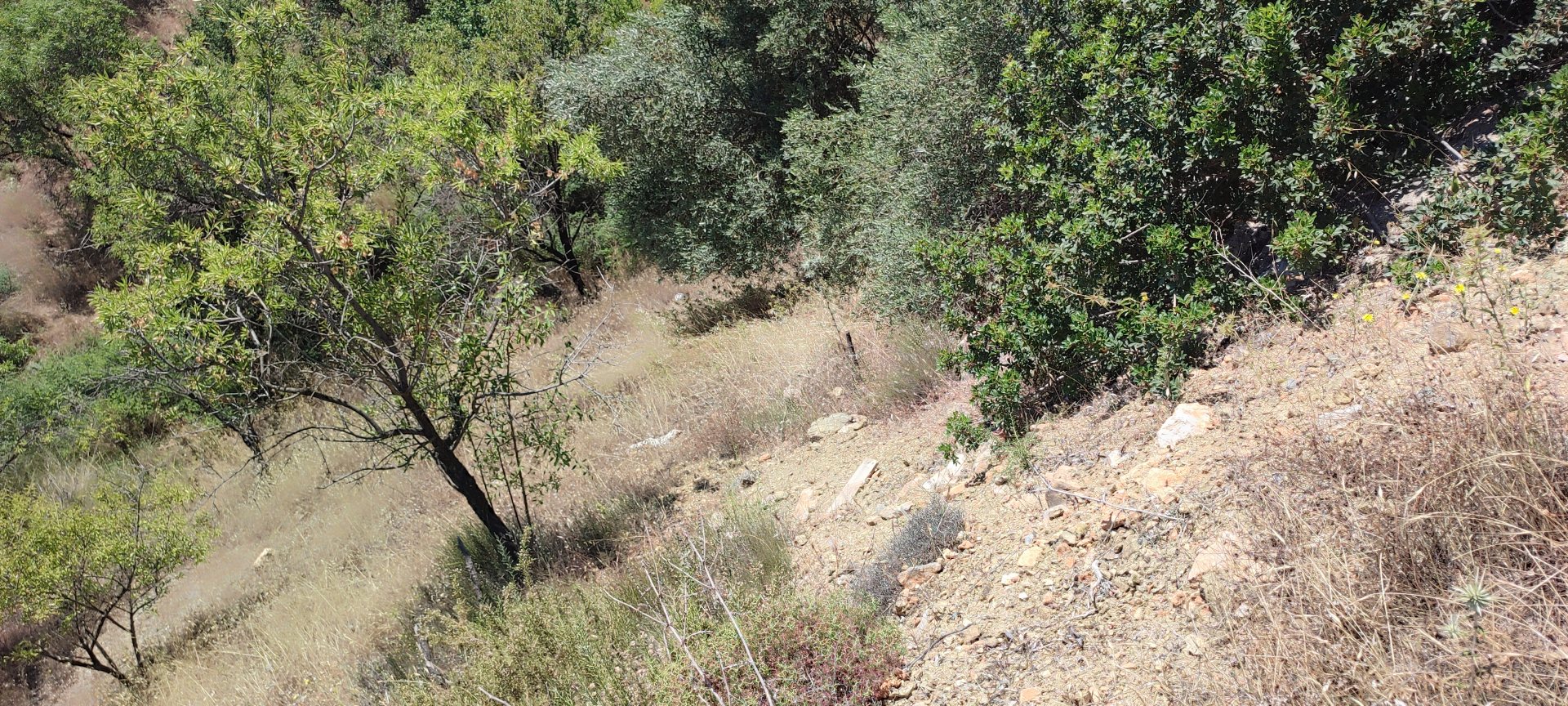 YERLEŞİM ALANI İÇİNDE FIRSAT ARAZİ