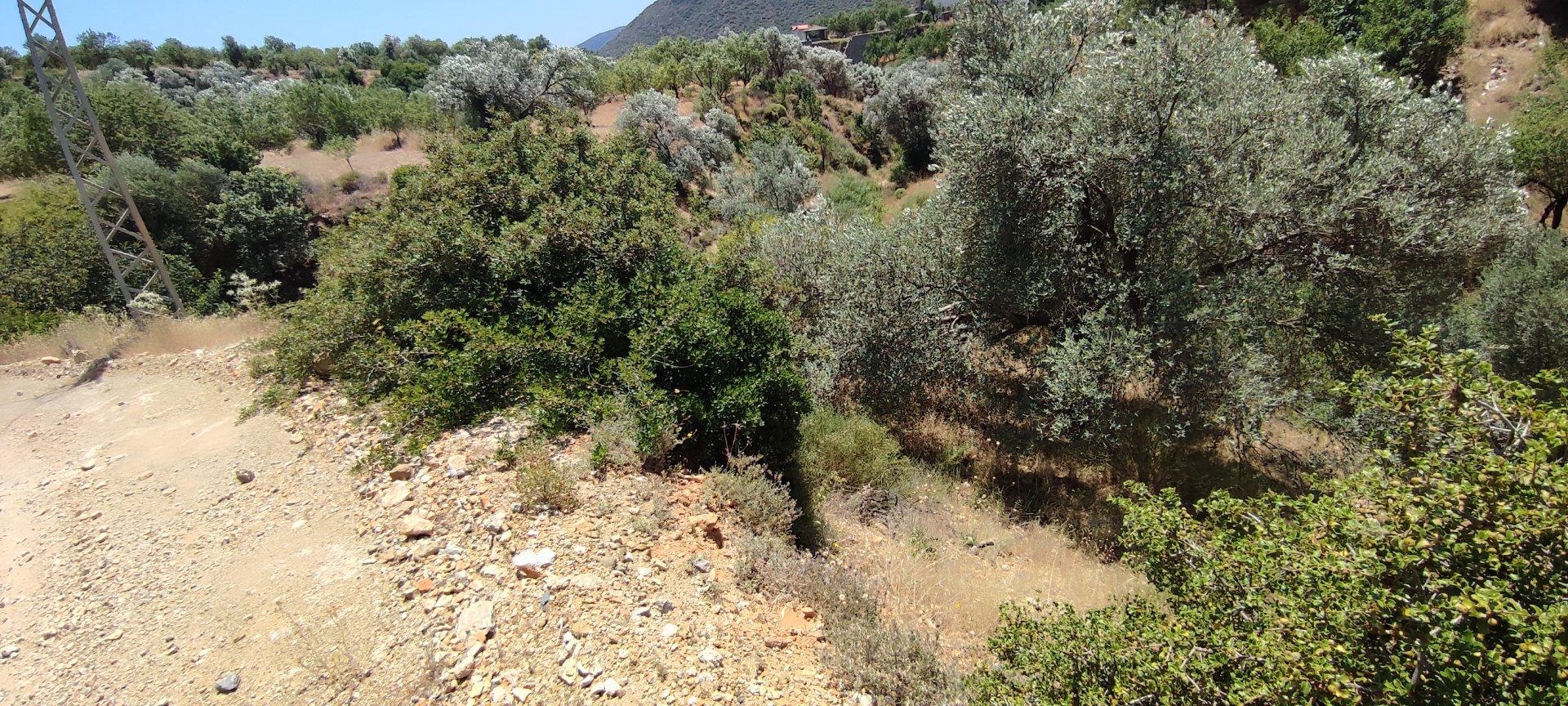 YERLEŞİM ALANI İÇİNDE FIRSAT ARAZİ