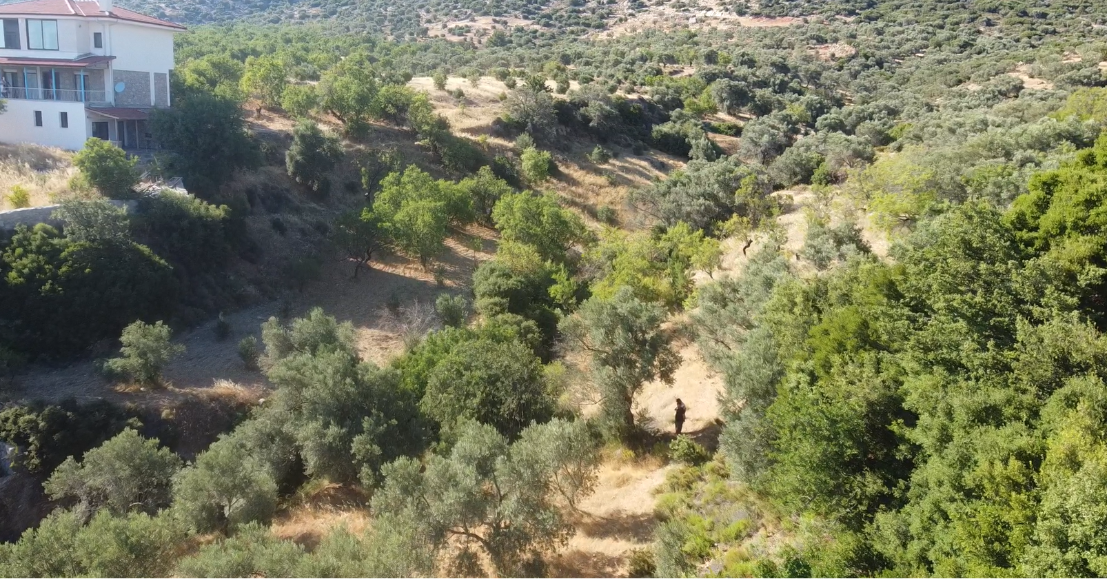 YERLEŞİM ALANINA YAKIN MUHTEŞEM LOKASYON
