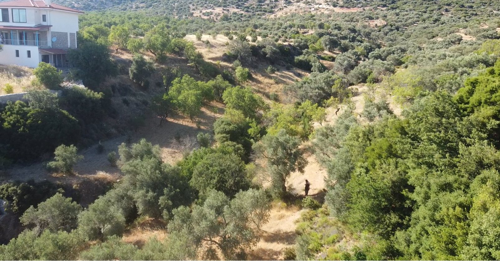YERLEŞİM ALANINA YAKIN MUHTEŞEM LOKASYON
