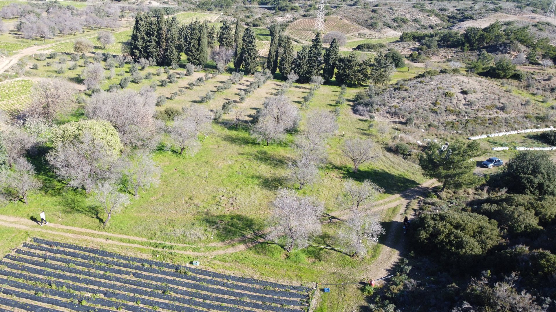 MUHTEŞEM LOKASYON FIRSAT ARAZİ