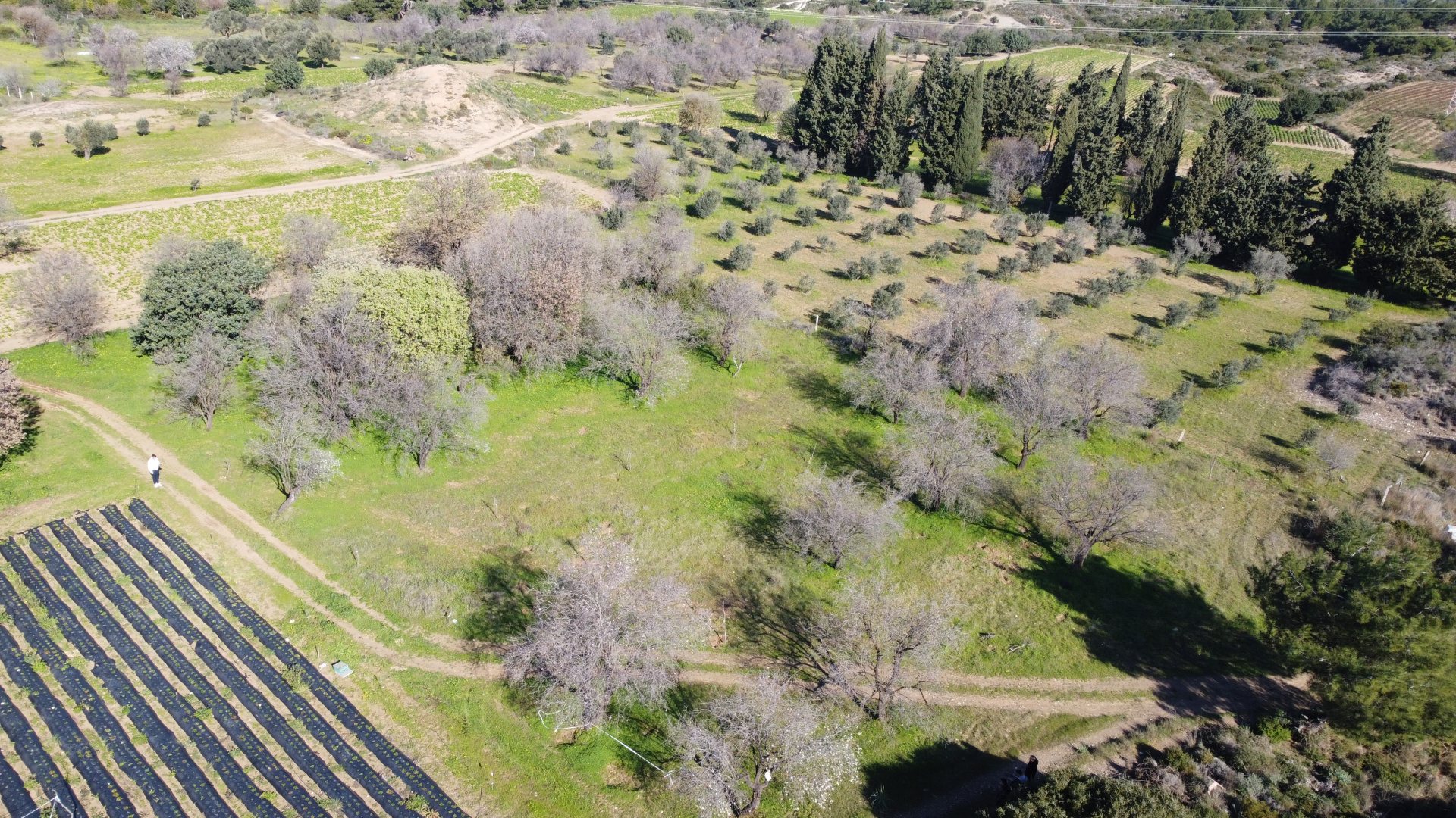 MUHTEŞEM LOKASYON FIRSAT ARAZİ