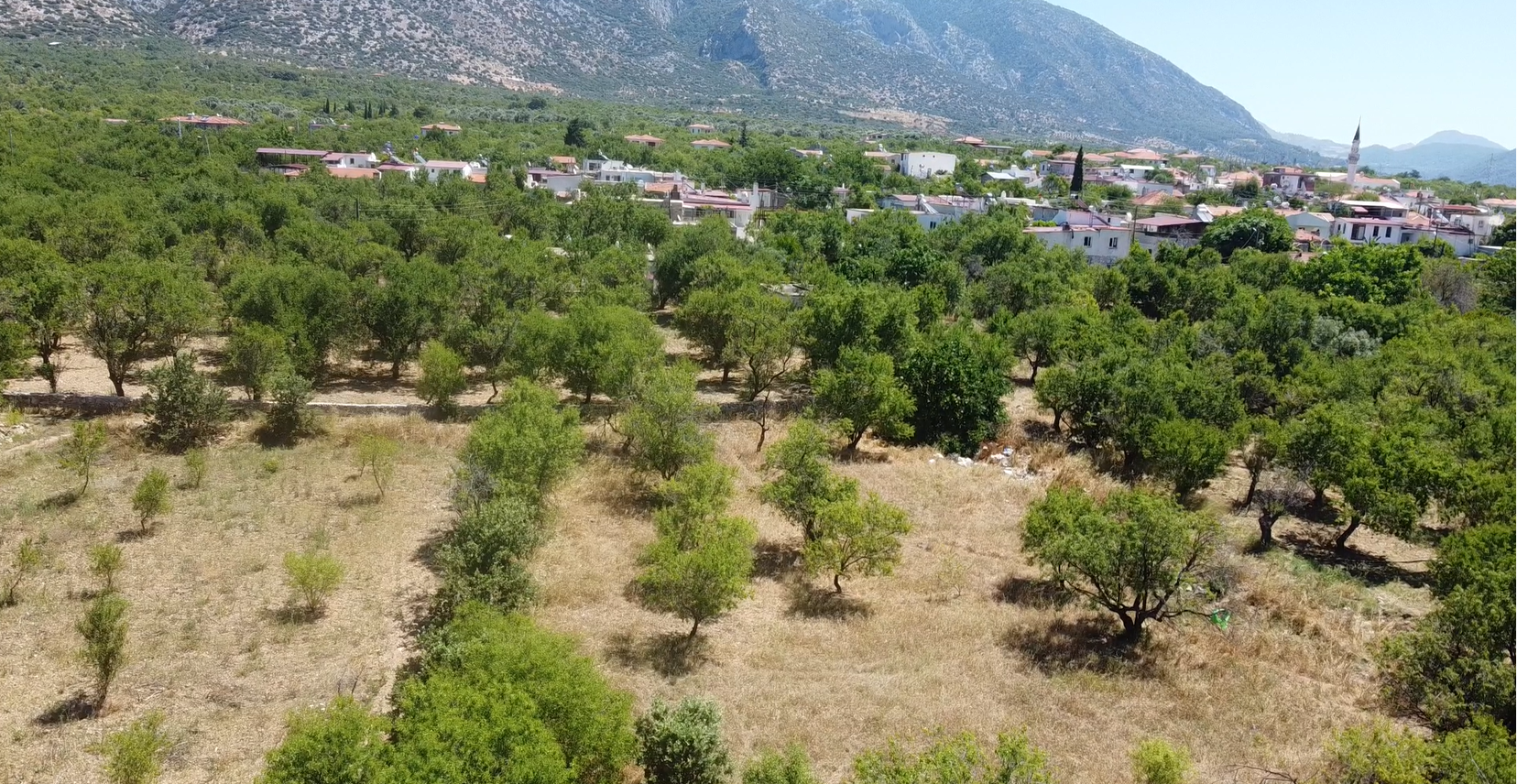 MUHTEŞEM YAŞAM ALANI