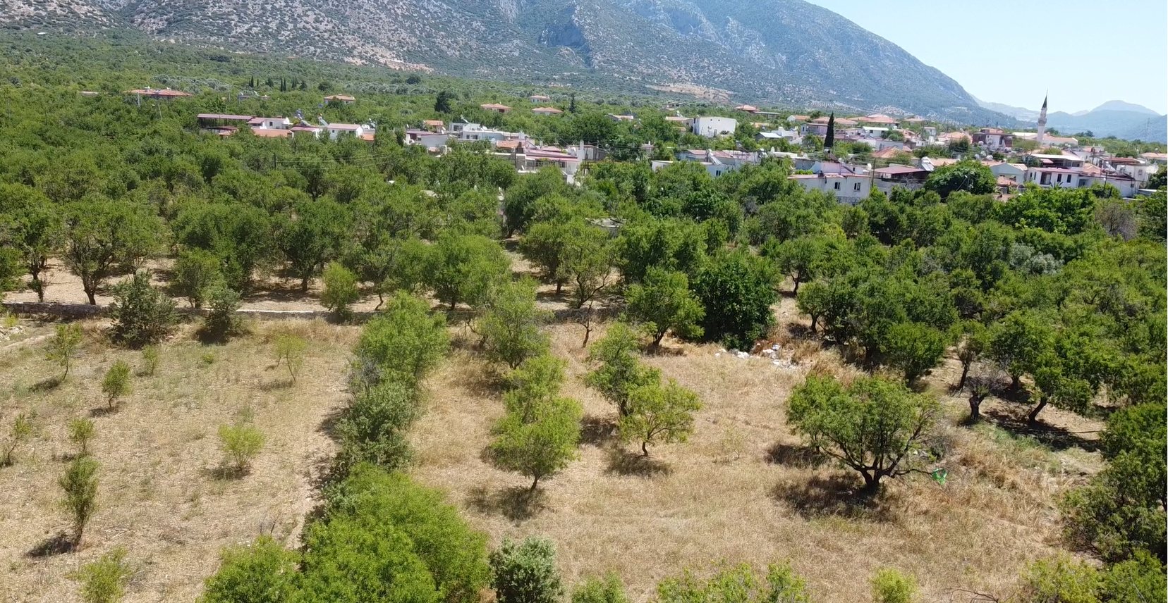 MUHTEŞEM YAŞAM ALANI