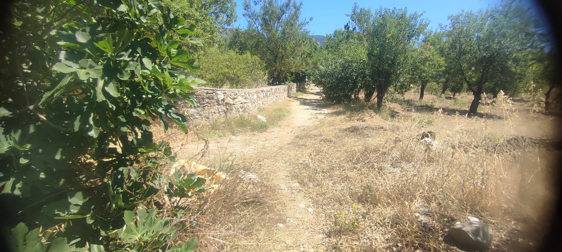 MUHTEŞEM YAŞAM ALANI