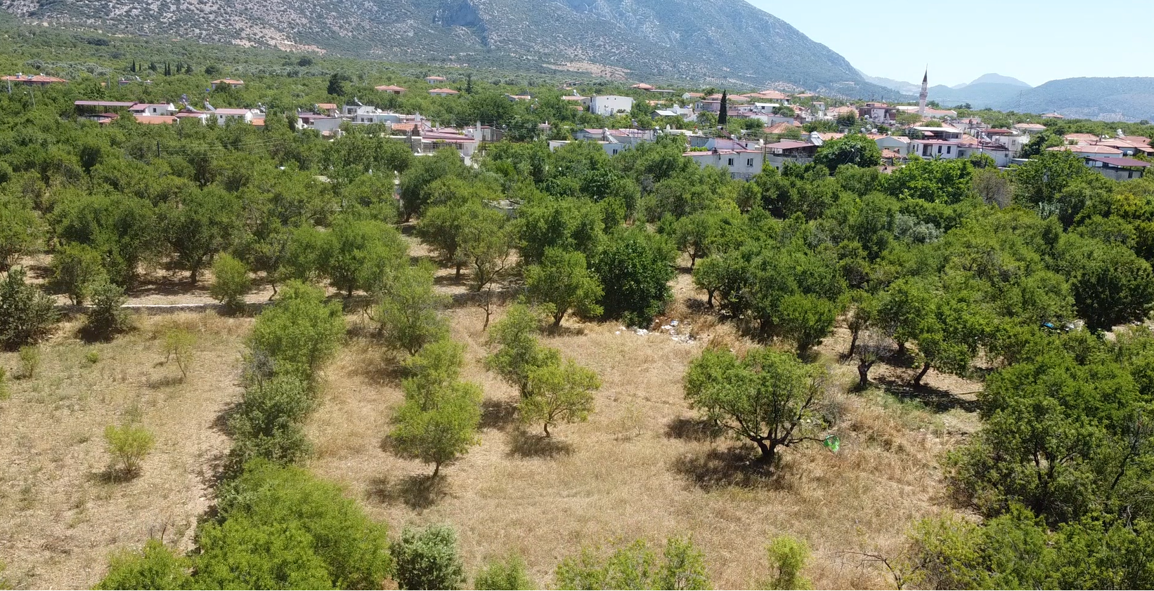 MUHTEŞEM YAŞAM ALANI