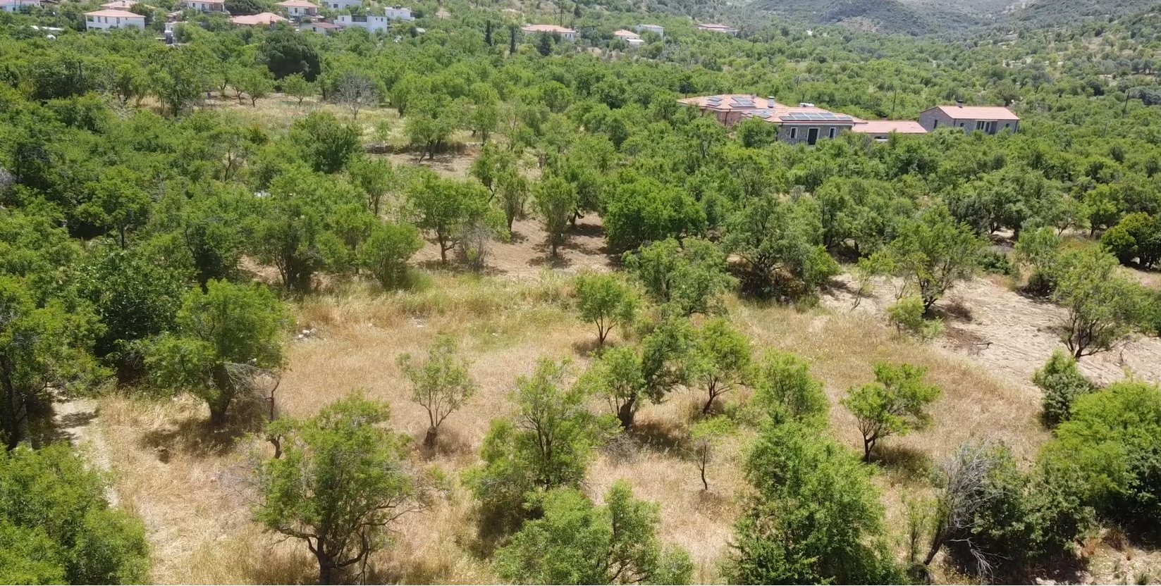 MUHTEŞEM YAŞAM ALANI