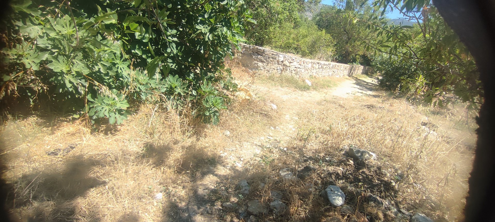 MUHTEŞEM YAŞAM ALANI
