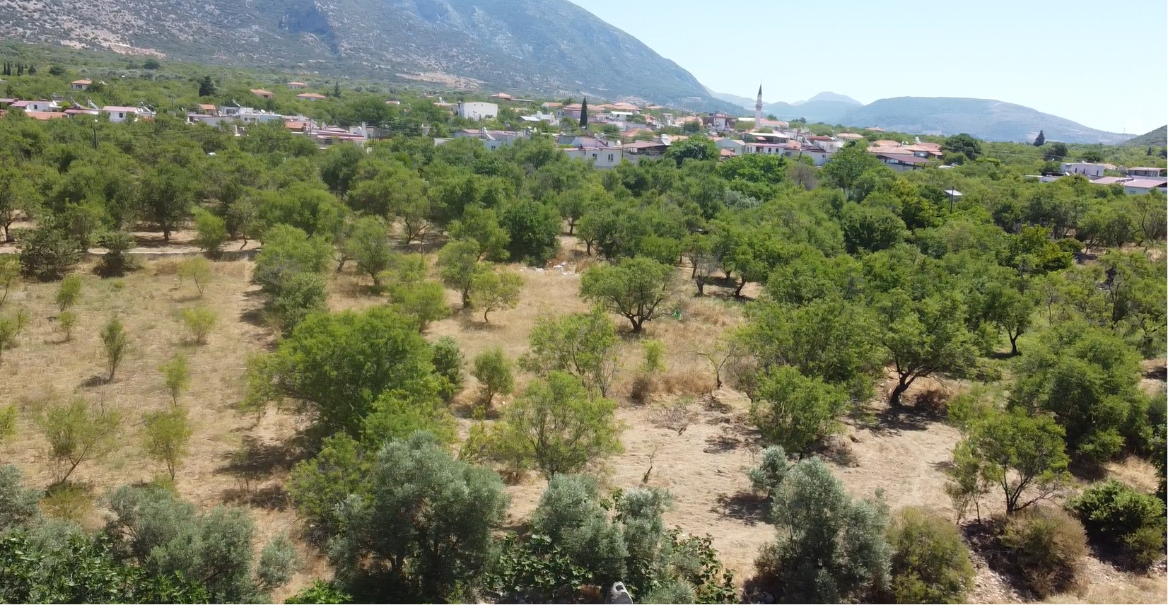 MUHTEŞEM YAŞAM ALANI