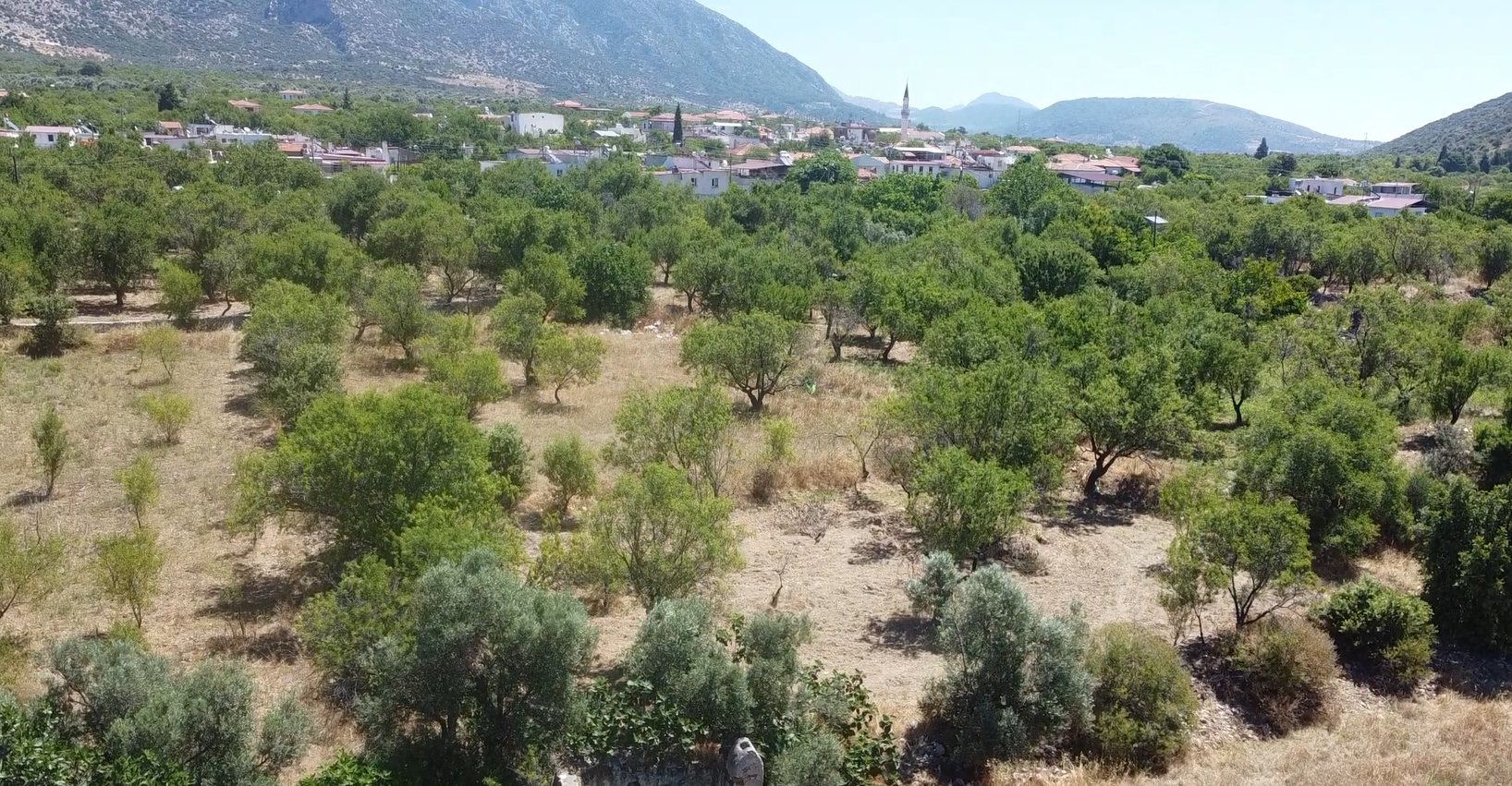 MUHTEŞEM YAŞAM ALANI
