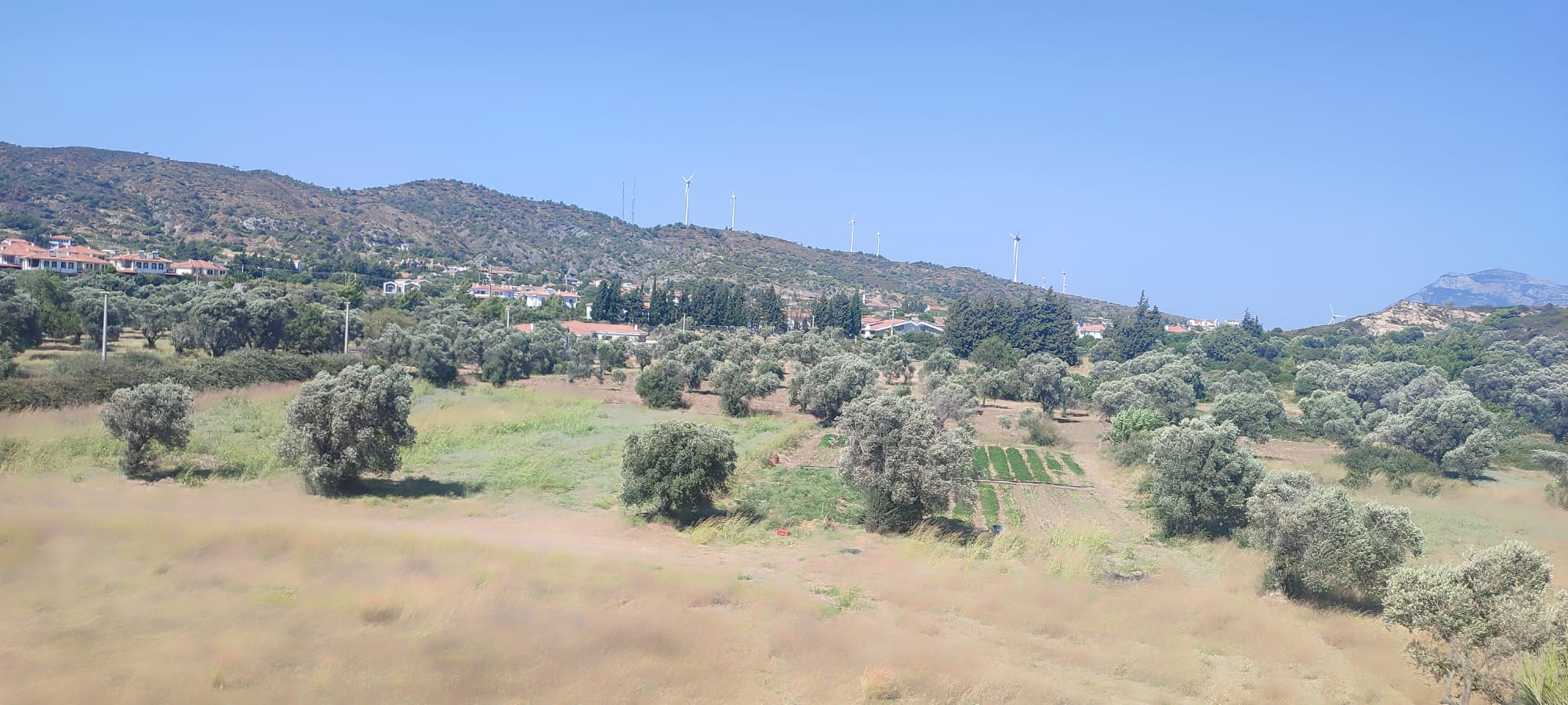 DATÇA KIZLAN'DA GELİŞEN BÖLGEDE YOLA CEPHELİ ARAZİ