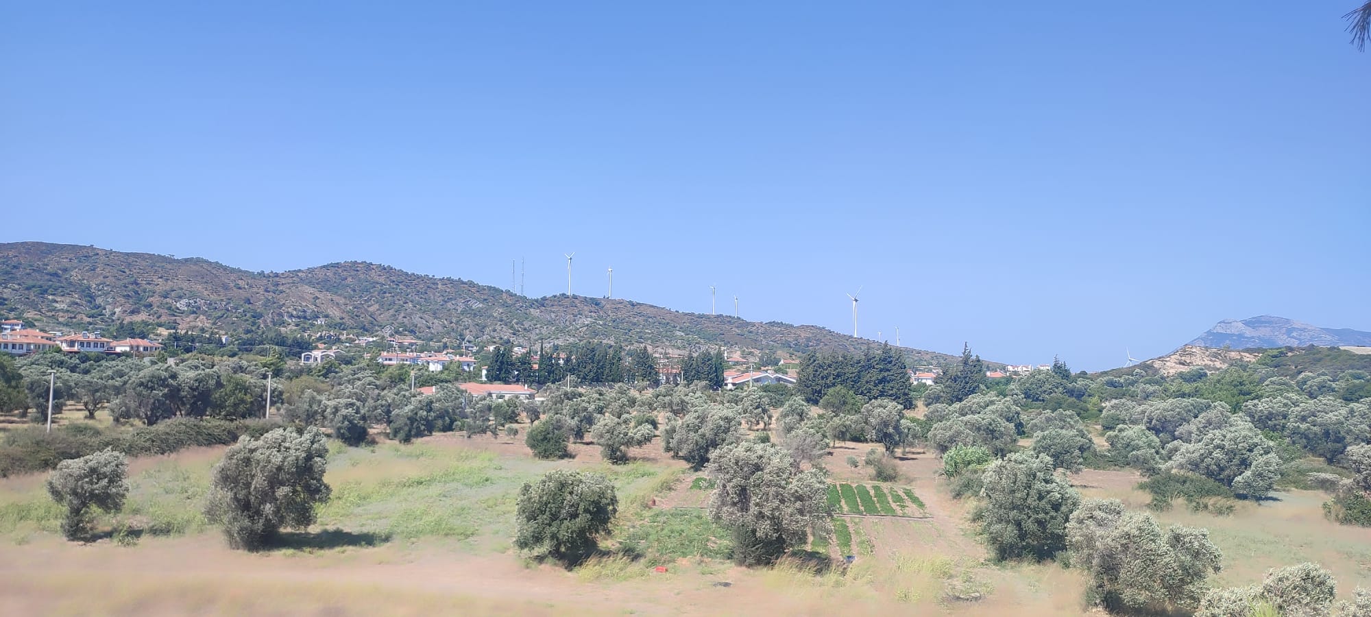 DATÇA KIZLAN'DA GELİŞEN BÖLGEDE YOLA CEPHELİ ARAZİ