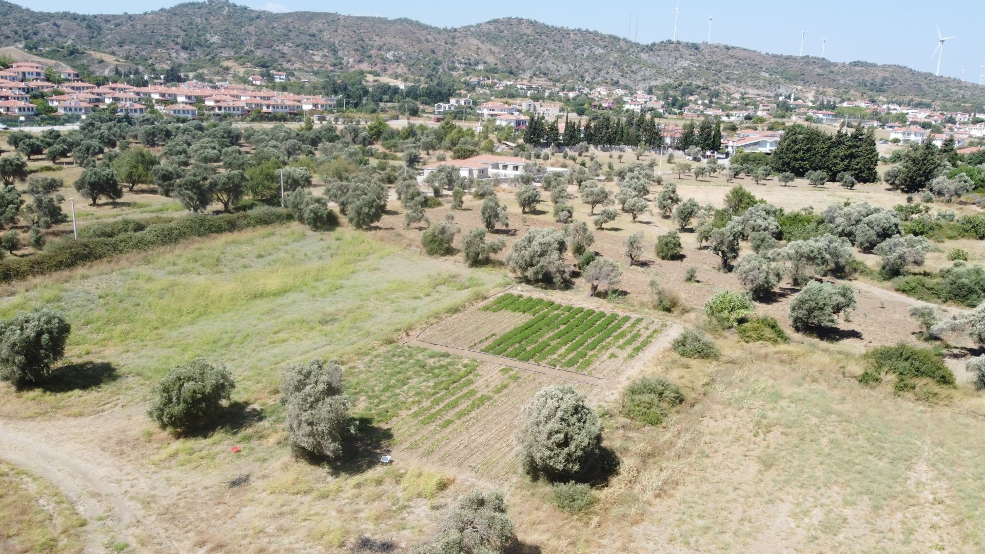 DATÇA KIZLAN'DA GELİŞEN BÖLGEDE YOLA CEPHELİ ARAZİ