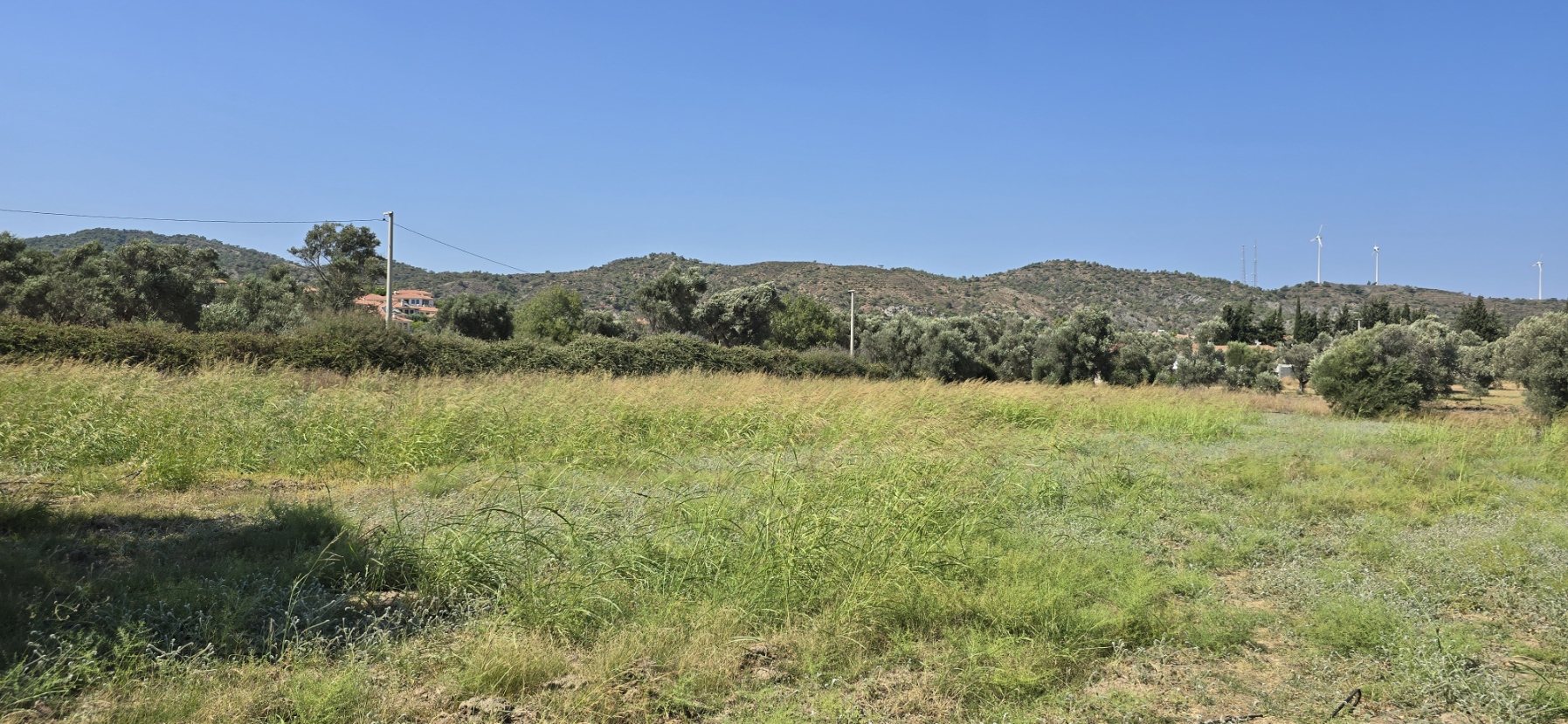 DATÇA KIZLAN'DA GELİŞEN BÖLGEDE YOLA CEPHELİ ARAZİ