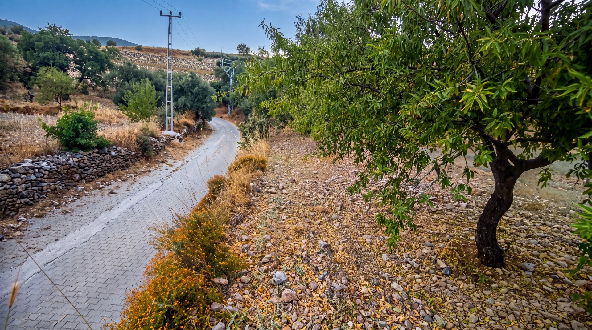 MÜKEMMEL LOKASYON ÇİFTLİK ARSASI
